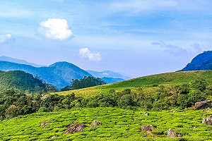 Thekkady, Kumily, Kerala, India